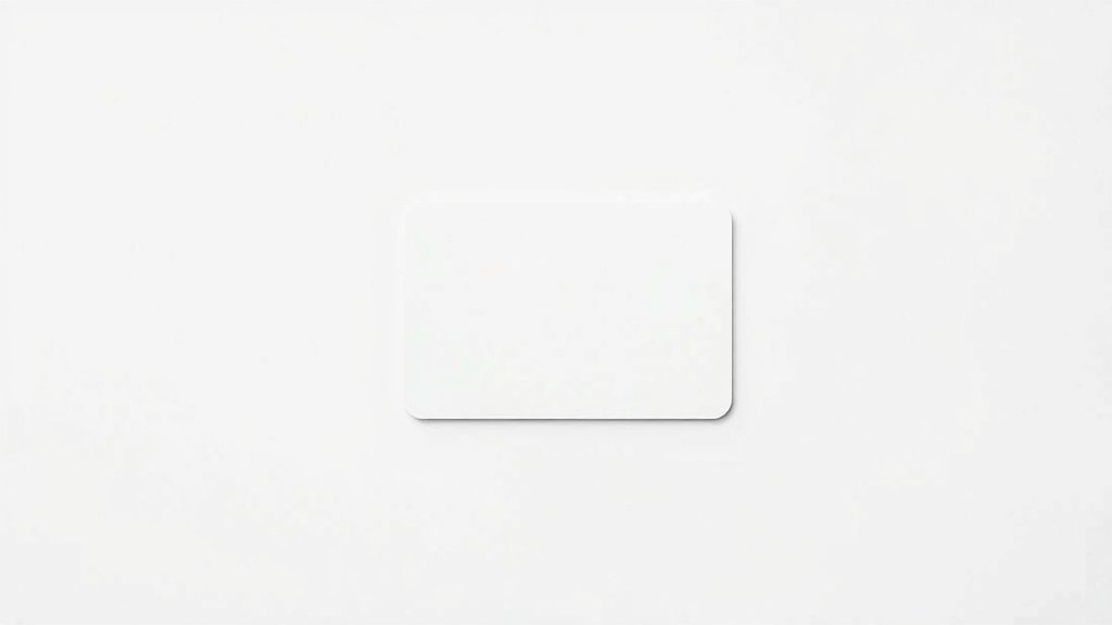 10 Card [2026]